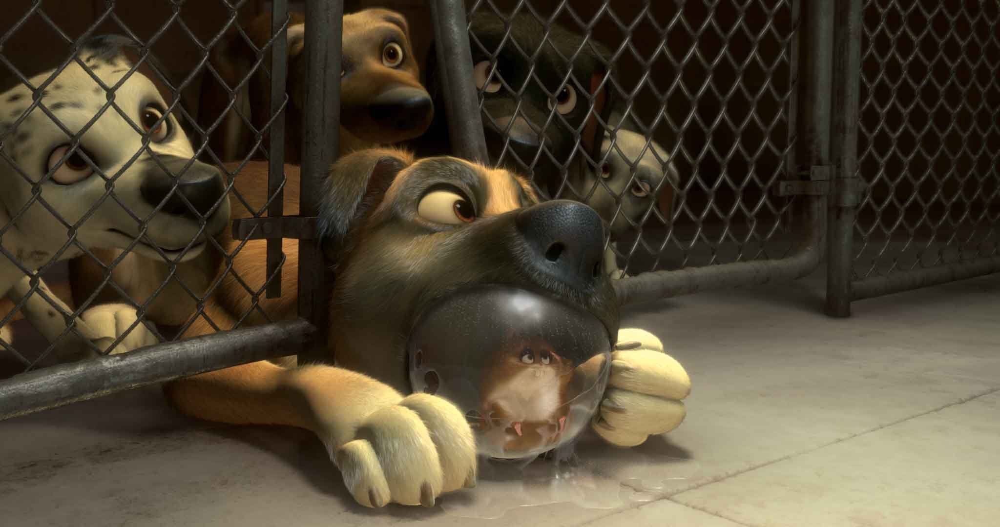 Image du produit 8